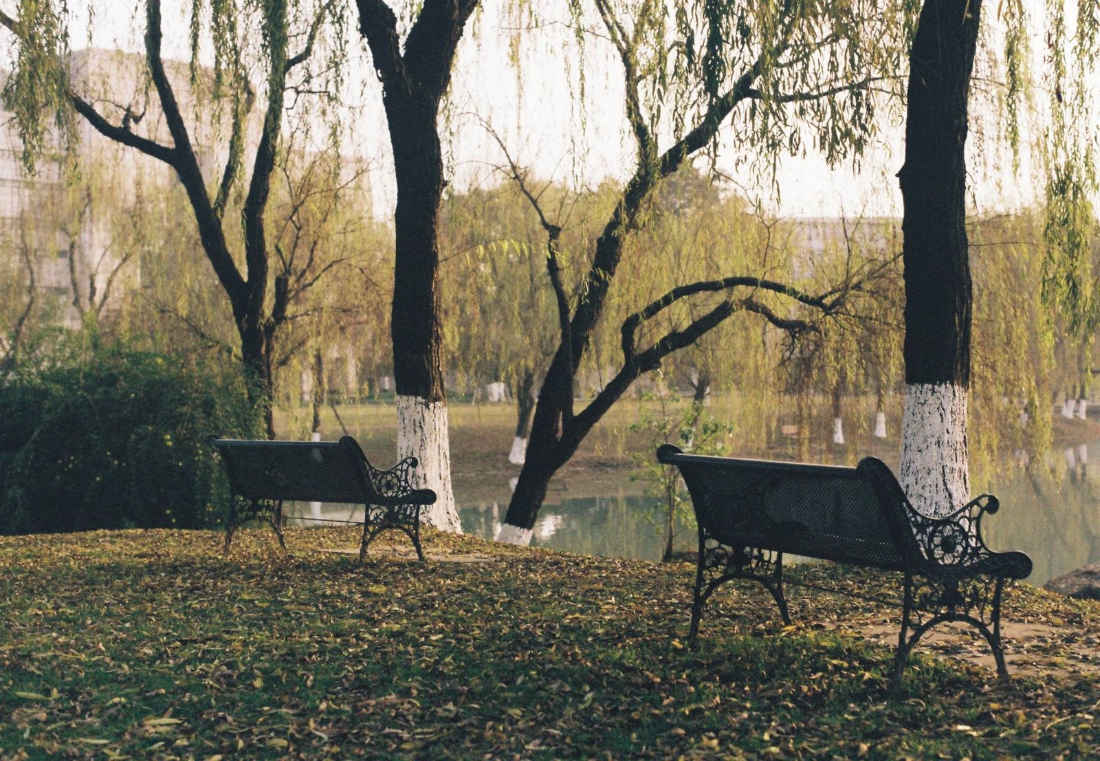 When Grief Does Not Follow the Map