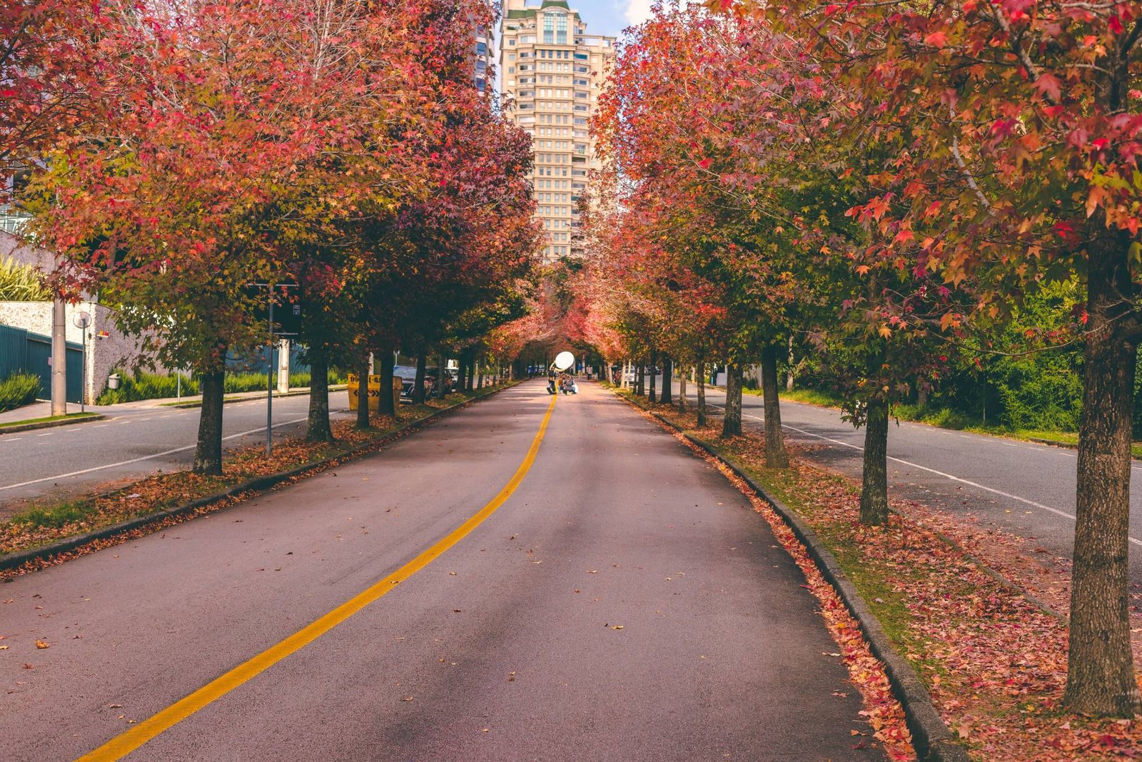 Online EMDR and Trauma Therapy for the Upper East Side